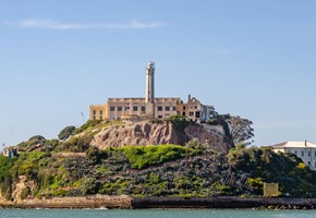 Vineyard at sunset, California